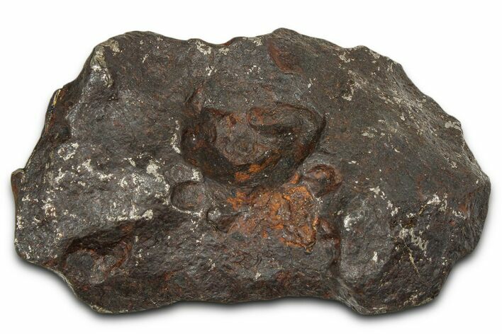 Canyon Diablo Iron Meteorite ( g) - Arizona #382009